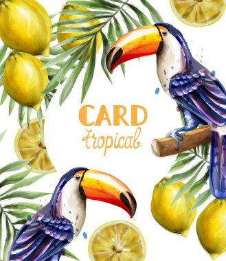 Toucan ve limon tropik kart Vektör suluboya. Egzotik yaz şablonları