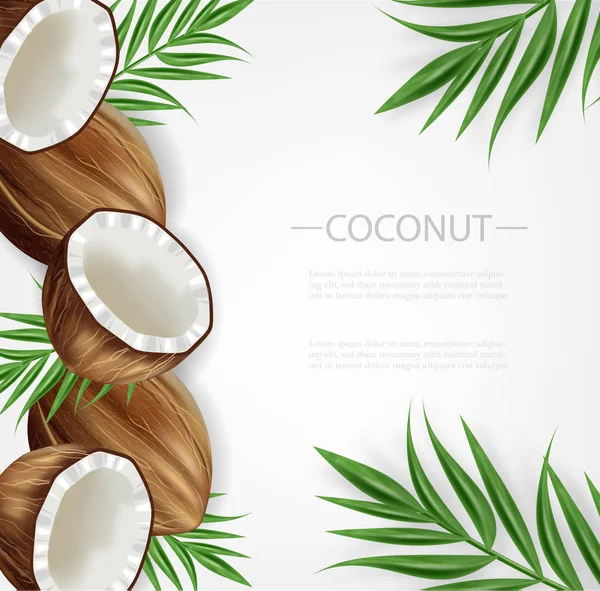 Sfondo cocco Vettore realistico. Layout modello tropic carte esotiche — Vettoriale Stock