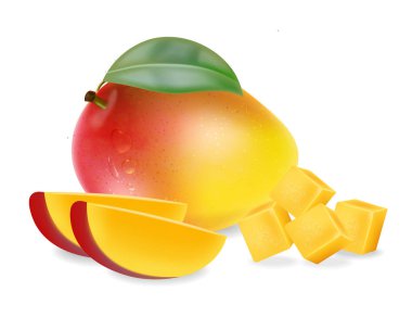 Mango meyveleri ve dilimleri izole edilmiş Vektör gerçekçiliği. Ayrıntılı element tasarımı. 3d illüstrasyon