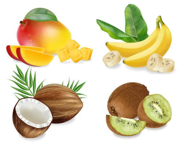 Mango, Coconut, kiwi y banana Vector conjunto realista colección de frutas aisladas. — Vector de stock