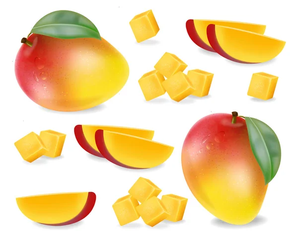 Mango plátky ovoce nastavit vektor realistický. Detailní návrh prvků. 3D ilustrace — Stockový vektor