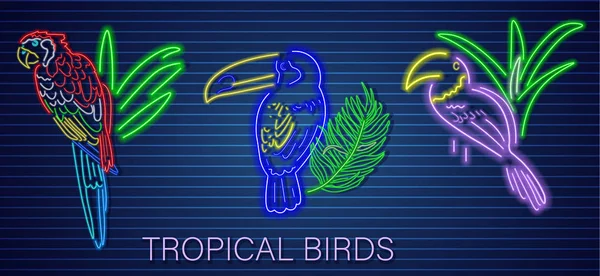 O papagaio trópico ajustou o vetor do néon. Brilhantes modelos de decoração de pássaros brilhantes — Vetor de Stock