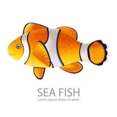 Altın Balık Vektörü gerçekçiliği beyazda izole edilmiş. Ayrıntılı deniz canlıları