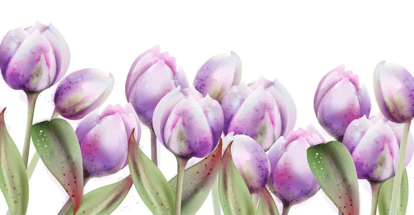 Tulpenblumen Vektor Aquarell. Frühling Sommer Plakatbanner — Stockvektor