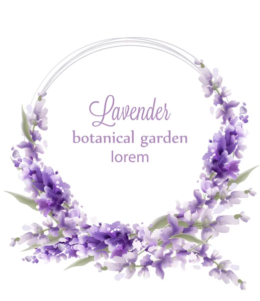 Tarjeta corona de lavanda Vector acuarela. Flores decoración saludo. Ramos de estilo vintage y decoración redonda. Invitaciones de ceremonia de boda de Provenza — Vector de stock