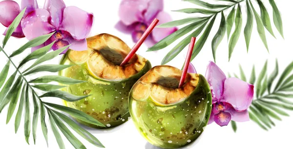 Coco cóctel vector tarjeta tropical. Flores coloridas de la orquídea y bebida del coco carteles exóticos calientes del verano — Vector de stock