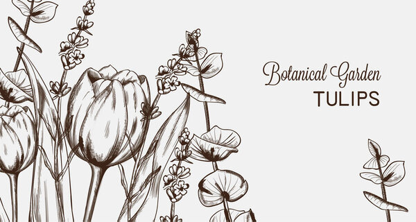 Летние цветы тюльпанов линейка Art Vector. Винтажные стили декора ручной работы
