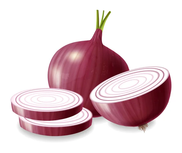 Red onion vector realistic isolated on white 3d illustrations — Stock Vector