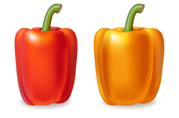 Pepper Vector realista aislado en ilustraciones blancas 3d — Vector de stock