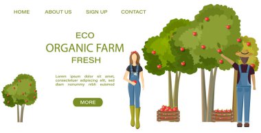 Elma hasadı Vektörü toplayan çiftçiler. Sonbahar sezonu şablonu hasat düzeni projeleri