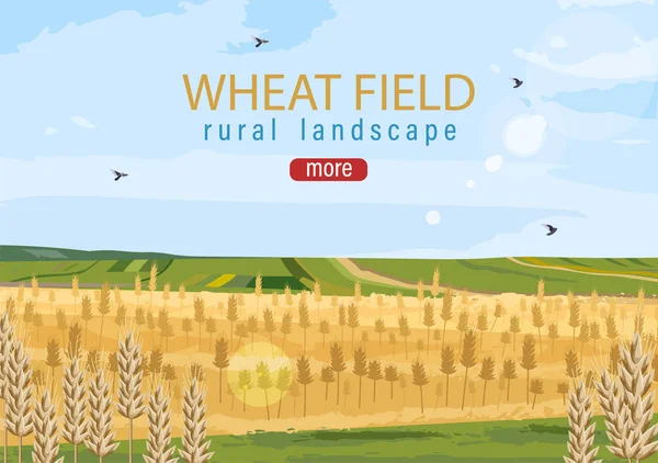 Buğday tarlası Vektör sonbahar saman hasat posterleri — Stok Vektör