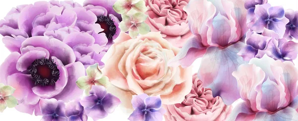 Flores púrpuras Vector acuarela. Cartel rústico de Provenza. Tarjeta de boda, decoración de eventos de ceremonia de cumpleaños — Vector de stock