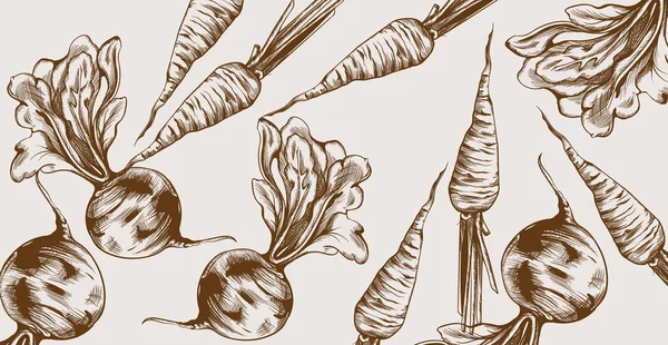 ビートとニンジンベクトルラインアート。野菜のパターン新鮮な収穫 — ストックベクタ