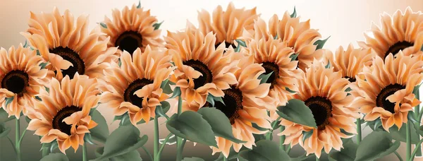 ひまわり水彩背景ベクトル。ヴィンテージ素朴なスタイルの花の装飾 — ストックベクタ