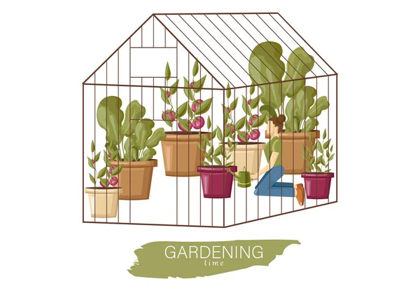 stock vector Woman working in the greenhouse Vector flat style. Growing plants and flowers. Cage garden concepts