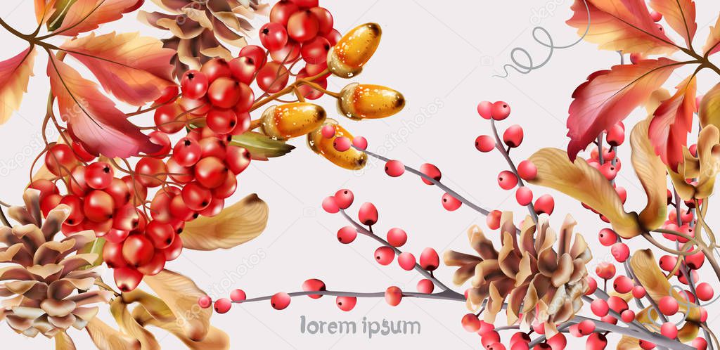 Autumn wild berries greeting card