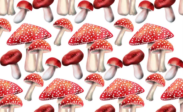 Склад червоних грибів — стоковий вектор
