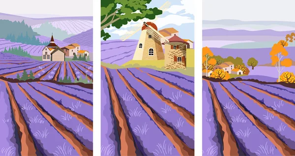 Pack of lavender field with mill, village and green tree — Stock Vector