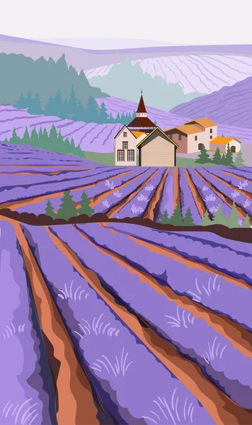 Lavendelveld met weilanden en dorpshuizen — Stockvector