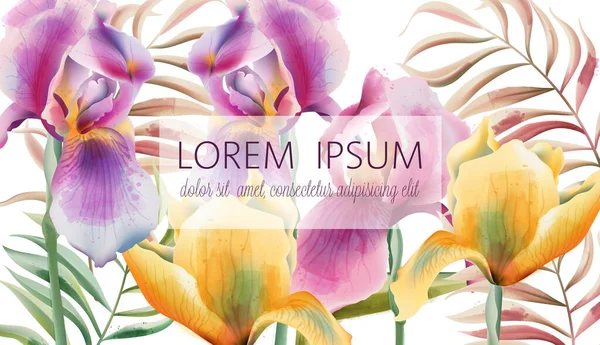 Patrón de flores de iris y hojas tropicales con lugar para texto. Acuarela — Vector de stock
