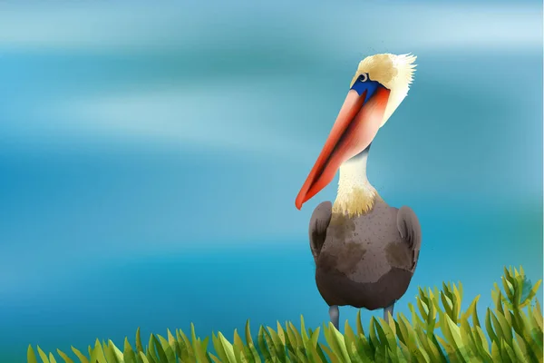 Pélican coloré assis dans l'herbe sur fond d'océan — Image vectorielle