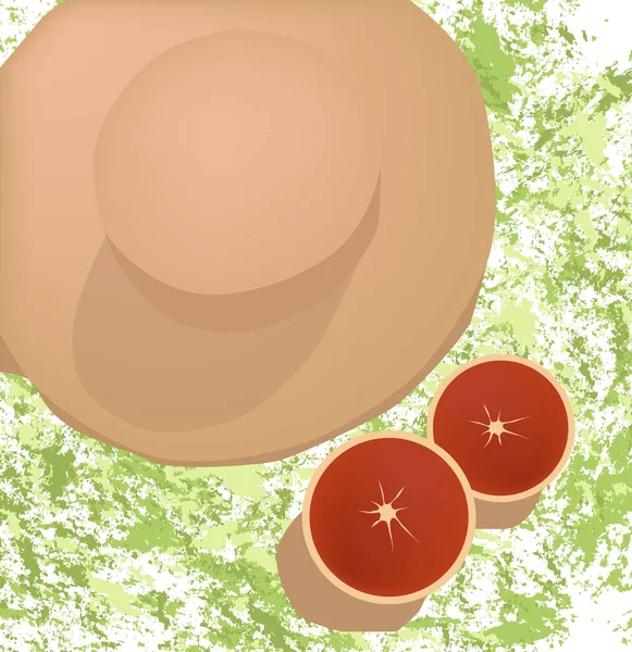 Sommar sammansättning med två halvor av grapefrukt och hatt på grön stänkt bakgrund — Stock vektor