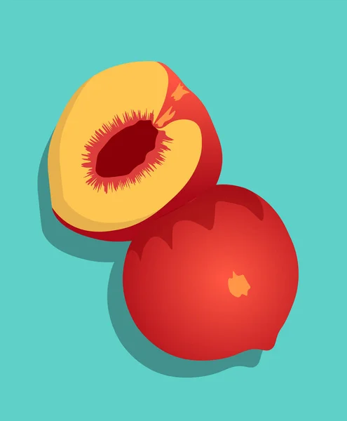 Zusammensetzung aus halb geschnittenen Pfirsichfrüchten auf türkisfarbenem Hintergrund — Stockvektor