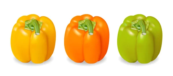 Realistic and colorful yellow, orange and green pepper — Stock Vector
