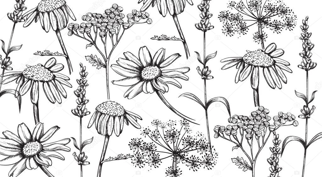 Chamomile, lavender and herbal flowers in line art style. Vectors