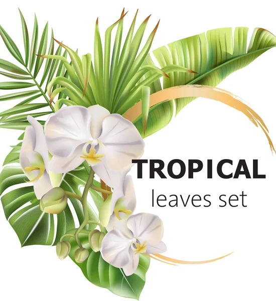 Folhas tropicais cartão de saudação com flores e lugar para texto — Vetor de Stock