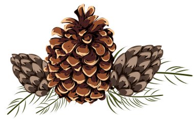 Çam kozalakları ve dikenli yaprakların bileşimi. Sonbahar teması