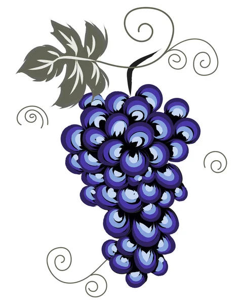 Composición de uvas moradas con hoja. Temáticas otoñales — Archivo Imágenes Vectoriales
