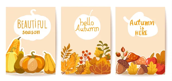 Set of three autumn cards. Pumpkins, leaves and twigs, acorns, apples and mushrooms. Beautiful season — Stock Vector