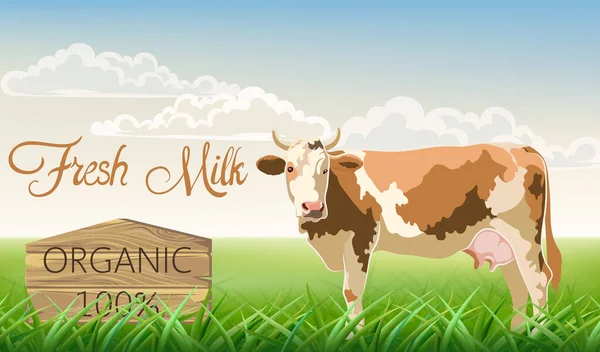 En ko med bruna prickar som tittar på kameran med en äng i bakgrunden. Ekologisk färsk mjölk — Stock vektor