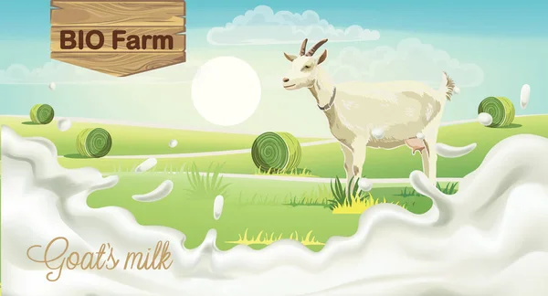 Коза на лугу с тюками сена. Брызги биологического фермерского молока. Реалистично. Размещение 3D макета — стоковый вектор