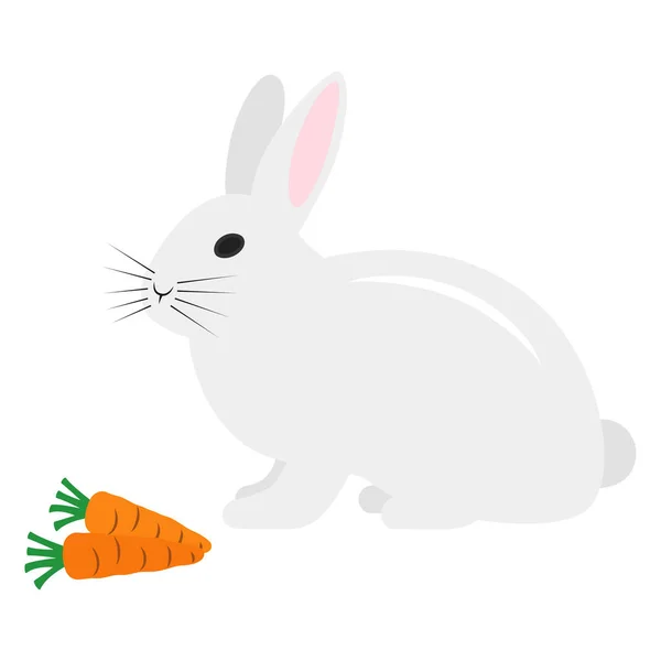 Плоский Иконка Кролика Морковью Изолированы Белом Фоне Векторная Иллюстрация — стоковый вектор