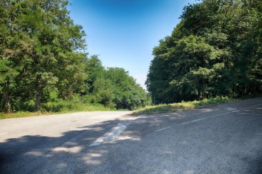 Ormanda asfalt bir yol. Dağ manzarası.