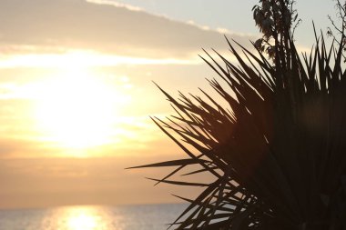 Denizde güneşli bir gün batımı