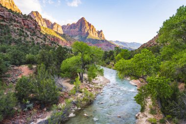 Güneşli bir günde güzel Zion Ulusal Parkı, Utah, ABD.