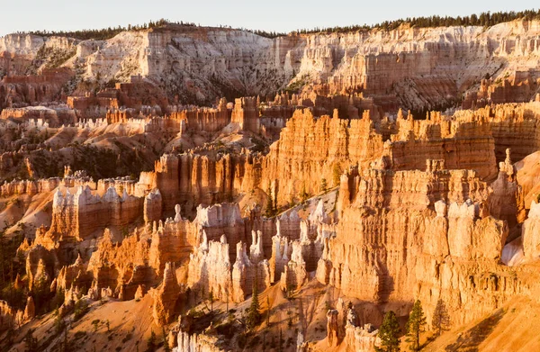 Bryce Canyon Nationaal Park Bij Zonsopgang Utah Verenigde Staten — Stockfoto