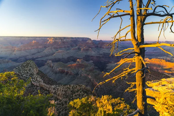 Grand Canyon Arizona Verenigde Staten Panoramisch Uitzicht Grand Canyon Bij — Stockfoto