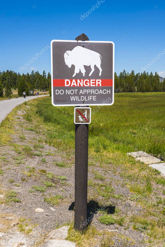 Danger do not appoach wildlife,bison sign pole near by walkway.