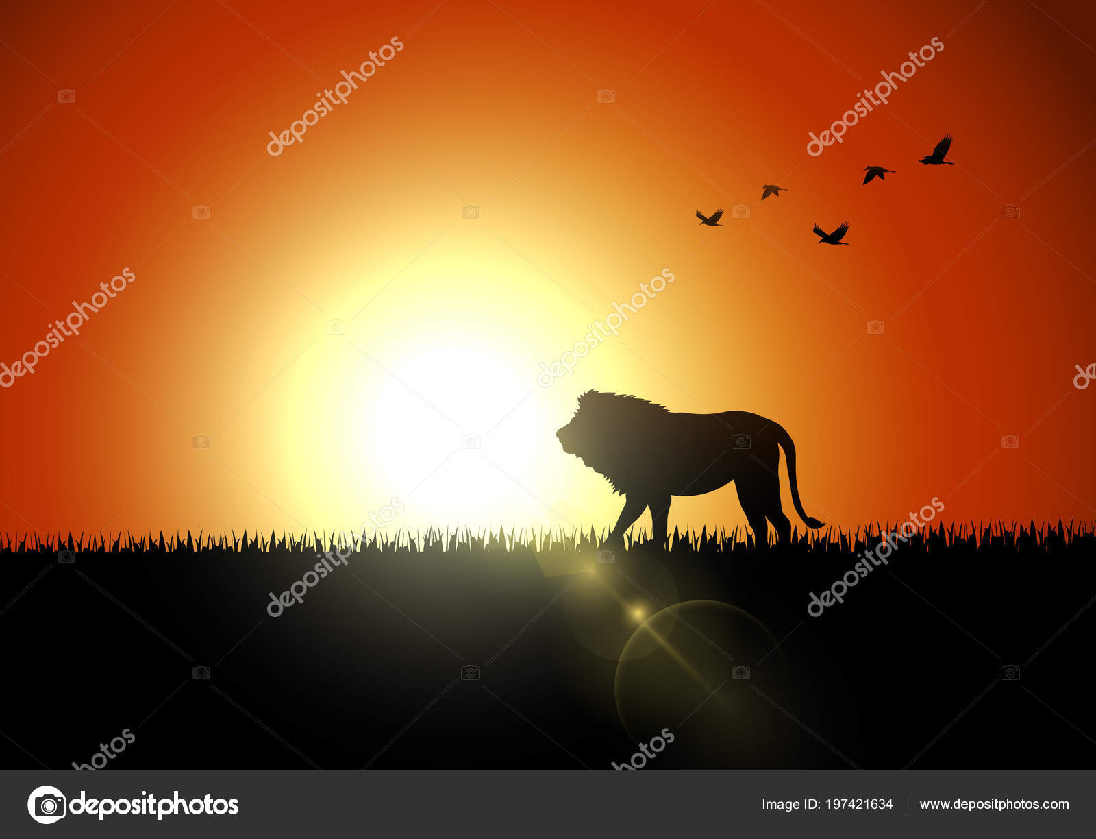 Illustration Lion Silhouette Coucher Soleil Savanah Image