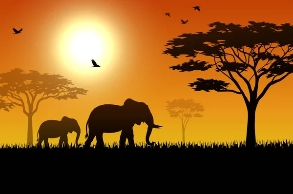 Illustration Silhouette Éléphant Coucher Soleil — Image vectorielle