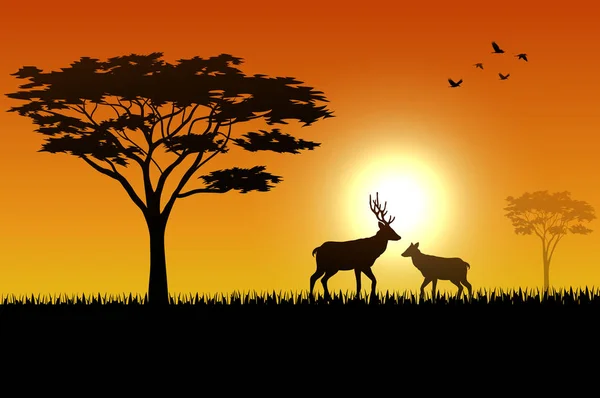 Illustration Cerfs Oiseaux Silhouette Coucher Soleil — Image vectorielle