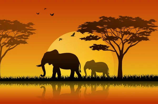 夕暮れ時の象のシルエットのイラスト — ストックベクタ