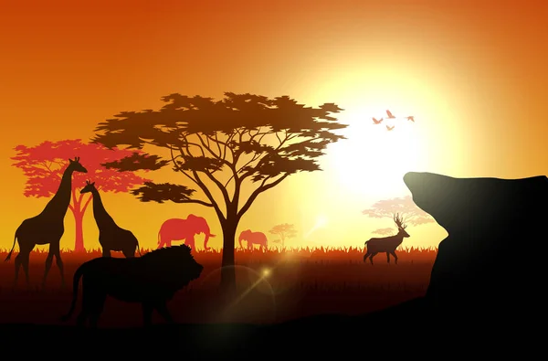 Illustration Des Animaux Silhouette Sur Les Savanes Dans Après Midi — Image vectorielle