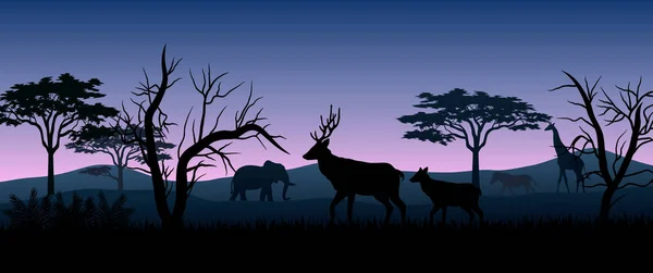 Ilustrace Zvířat Siluetu Savanách Noci — Stockový vektor