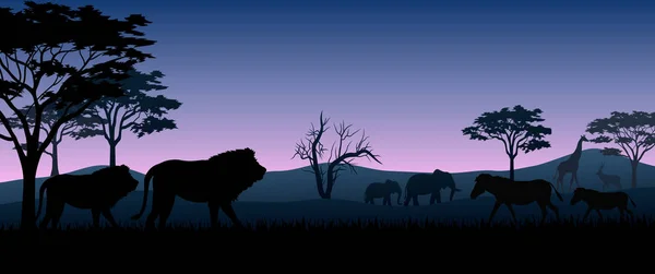 Illustration Des Animaux Silhouette Sur Les Savanes Dans Nuit — Image vectorielle