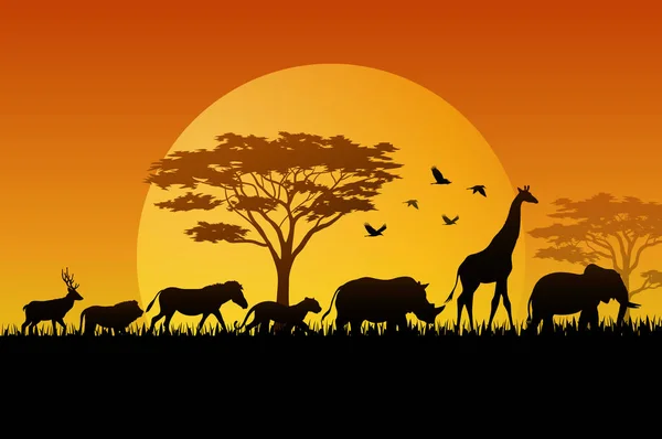 Illustration Des Animaux Silhouette Sur Les Savanes Dans Après Midi — Image vectorielle